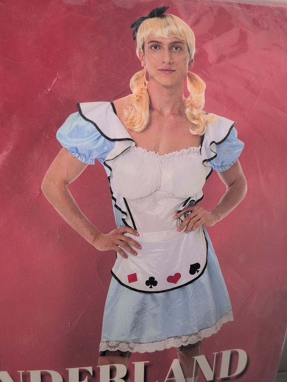 Hauntlook Alex in Wonderland Halloween Costume Size Large - Picture 3 of 7